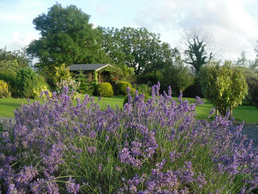 Moor View Bed & Breakfast Ingleton  Oda fotoğraf